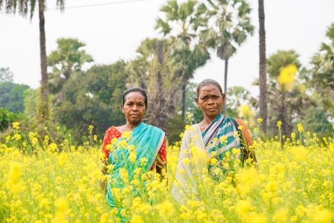 Rural Jharkhand